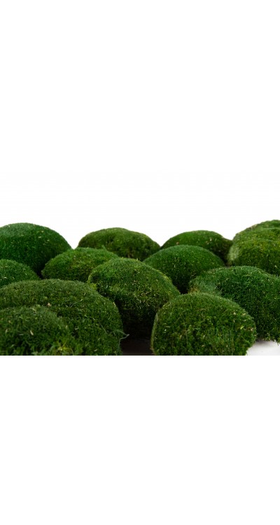 Stabilizovaný kopečkový mech (Ball Moss) - Přírodně zelený